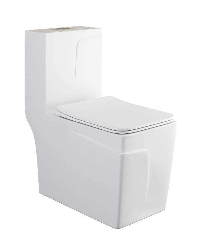 Унитаз-моноблок  SKAR  безобод.гориз,685х355х775мм,д/пласт,б/съем,м/л RADOLUXE