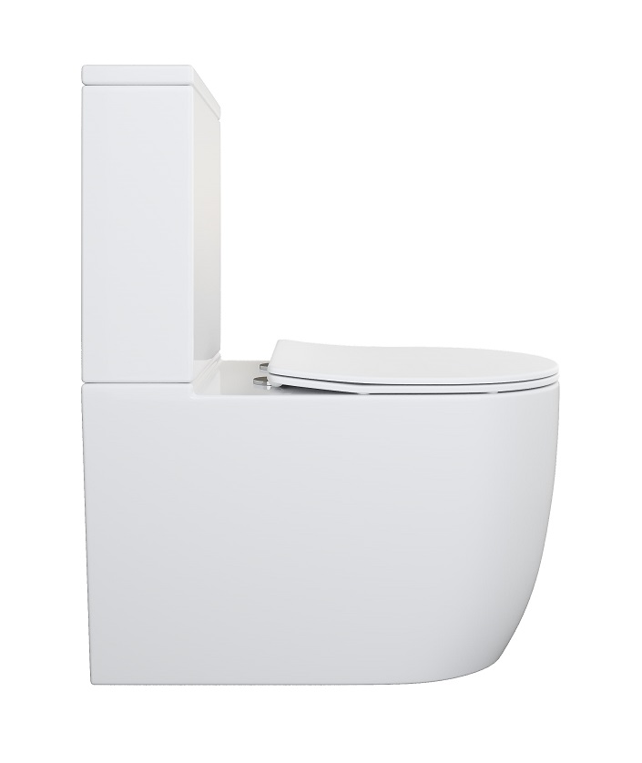 *АКЦИЯ Унитаз напольный  ELEGANT TORNADO безоб.гор,660х360х800мм,д/плас,б/съем,м/л RADOLUXE (2мест)