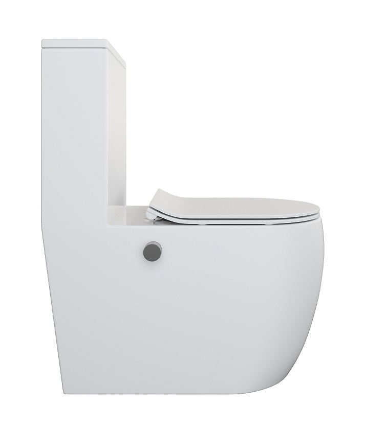 Унитаз-моноблок с БИДЕ Г/Х  -  HAVY  безобод.гориз,690х370х810мм,д/пласт,б/съем,м/л RADOLUXE