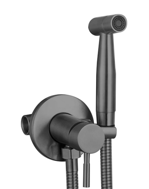 Смеситель встраимаевый  биде.  DOKORONA  ZM-2015Q  НЕРЖ/ГРАФИТ  (12/1)