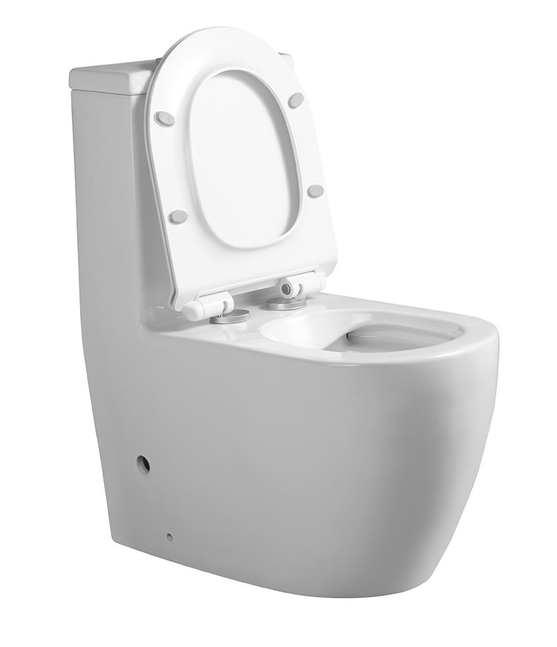 Унитаз-моноблок  AVA безобод.,гориз,2-кн.ниж, 690х370х810мм, дюропласт,б/съем,м/лифт RADOLUXE